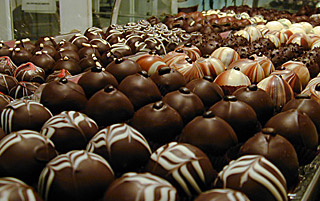 Gourmet chocolate truffles in the display case of the Truffle Shop in Nevada City, CA. width=